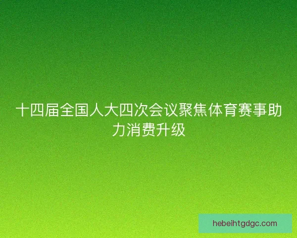 十四届全国人大四次会议聚焦体育赛事助力消费升级