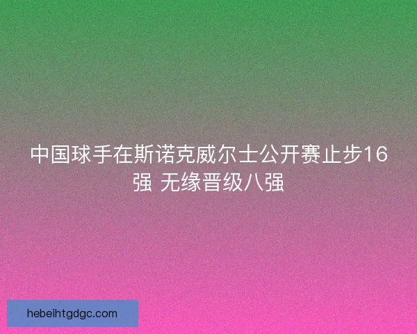 中国球手在斯诺克威尔士公开赛止步16强 无缘晋级八强